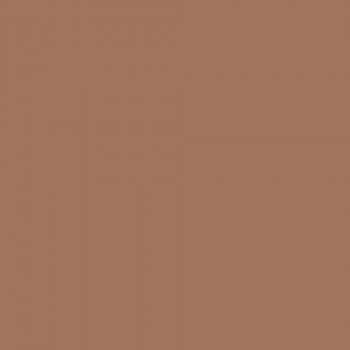 3251-bronze