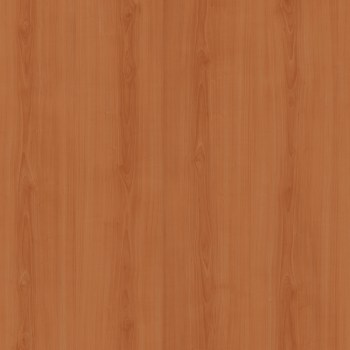 4251-birnbaum