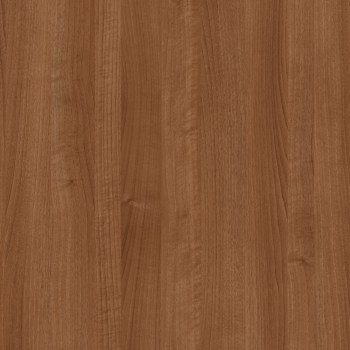 4479-amati