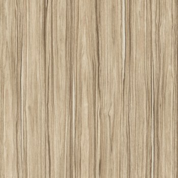 СТОЛЕШНИЦА ИЗ КОМПАКТНОГО ЛАМИНАТА   HPL 4545
