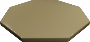 octagon_e101-1