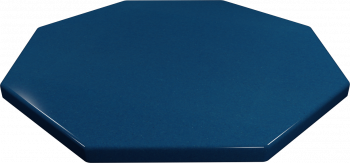 octagon_e510-1